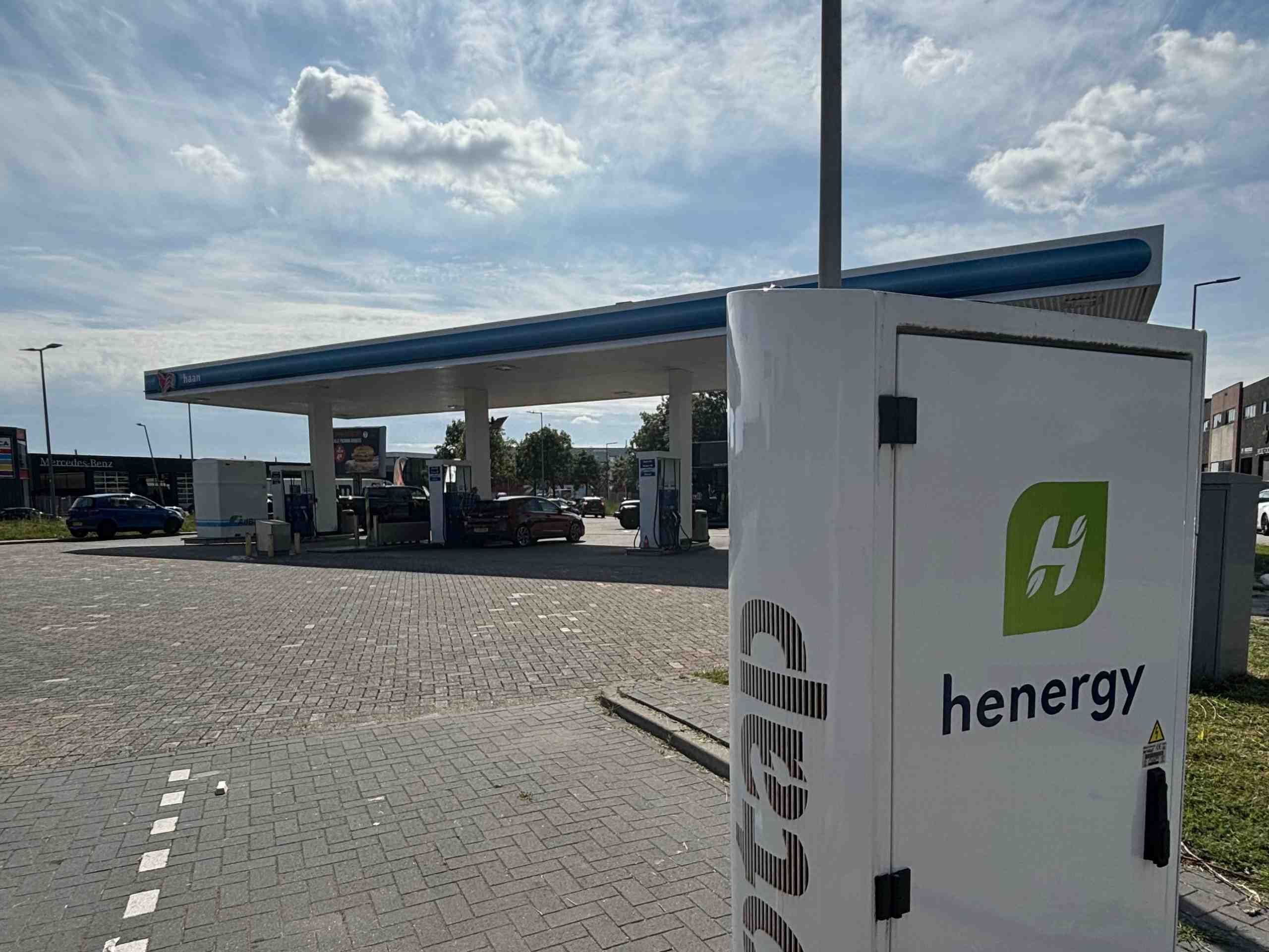 Snellader haan Spaanse Polder